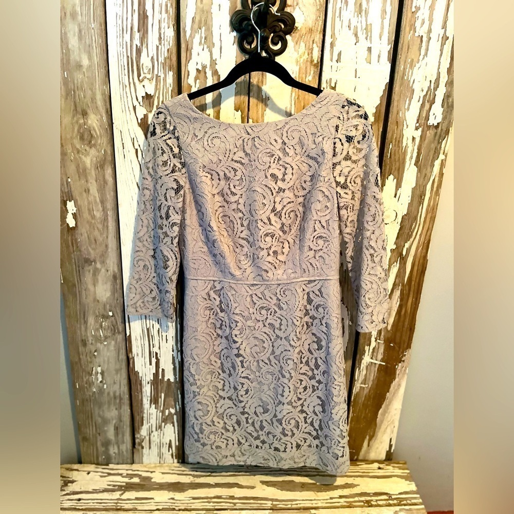 J. Crew Natalia Dress in Leavers Lace Gray Size 6P